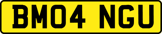 BM04NGU