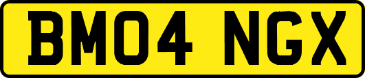 BM04NGX