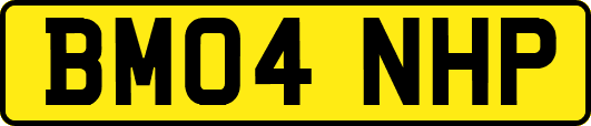 BM04NHP