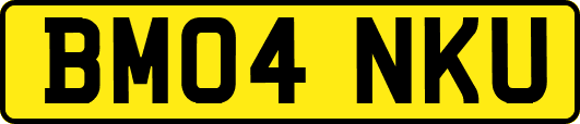 BM04NKU