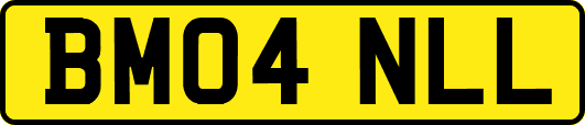BM04NLL