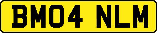 BM04NLM