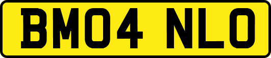 BM04NLO