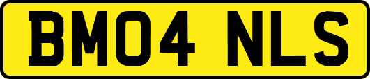 BM04NLS