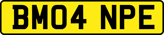BM04NPE