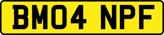 BM04NPF