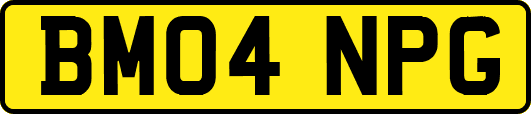 BM04NPG