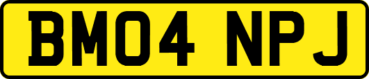 BM04NPJ