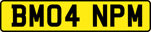 BM04NPM