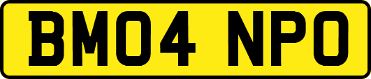 BM04NPO