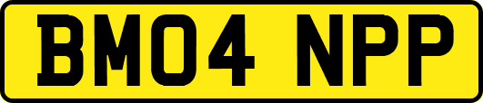 BM04NPP