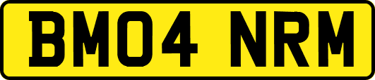 BM04NRM