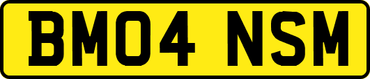 BM04NSM