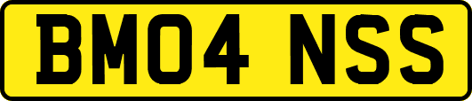 BM04NSS