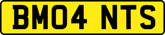 BM04NTS