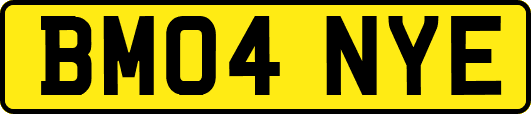 BM04NYE