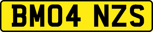 BM04NZS