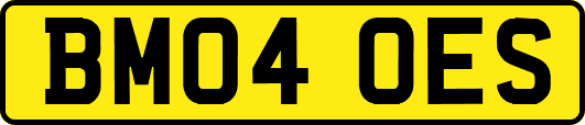 BM04OES