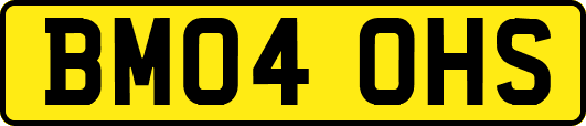 BM04OHS