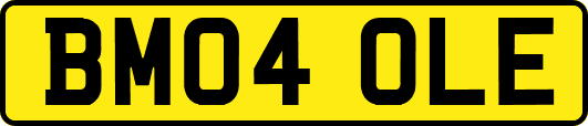 BM04OLE