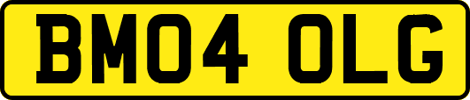 BM04OLG