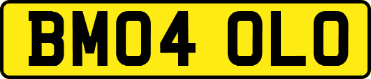 BM04OLO