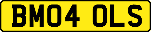 BM04OLS