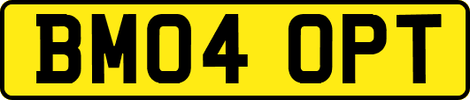 BM04OPT