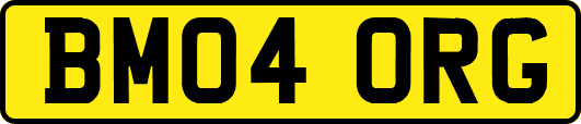BM04ORG