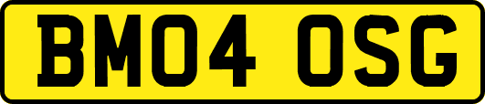 BM04OSG