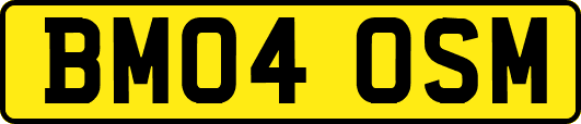 BM04OSM