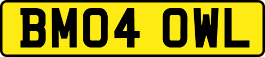 BM04OWL