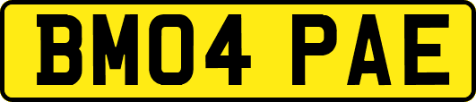 BM04PAE