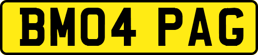 BM04PAG