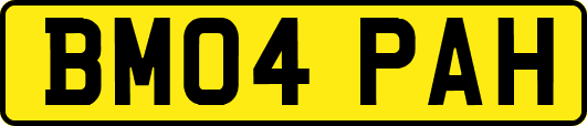BM04PAH