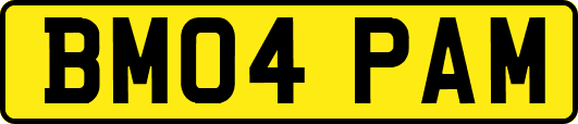 BM04PAM