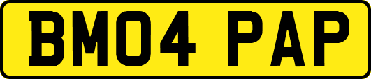 BM04PAP