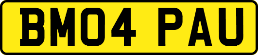 BM04PAU