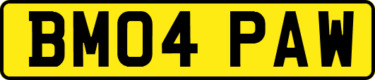 BM04PAW