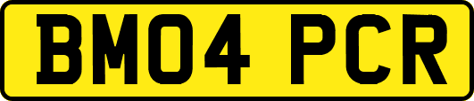 BM04PCR