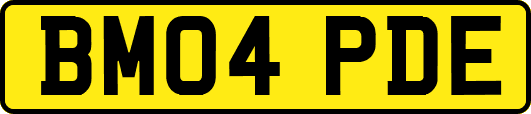 BM04PDE