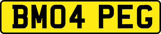 BM04PEG