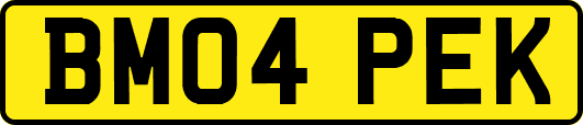 BM04PEK