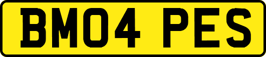 BM04PES