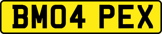 BM04PEX