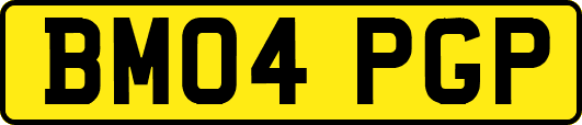BM04PGP