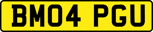 BM04PGU