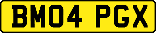 BM04PGX
