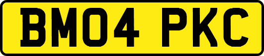 BM04PKC
