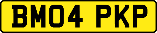BM04PKP